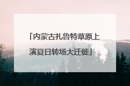 内蒙古扎鲁特草原上演夏日转场大迁徙