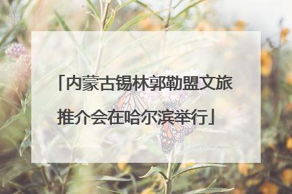 内蒙古锡林郭勒盟文旅推介会在哈尔滨举行