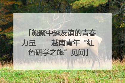 凝聚中越友谊的青春力量——越南青年“红色研学之旅”见闻