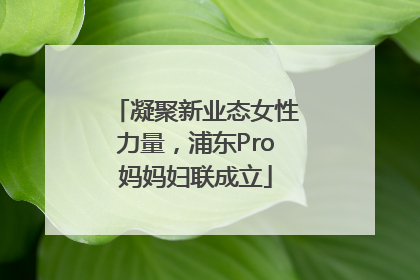 凝聚新业态女性力量，浦东Pro妈妈妇联成立