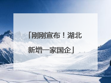刚刚宣布！湖北新增一家国企