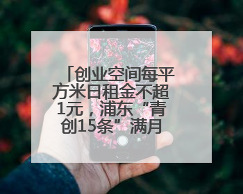 创业空间每平方米日租金不超1元，浦东“青创15条”满月带来什么