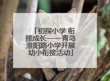 初探小学 衔接成长——青岛淮阳路小学开展幼小衔接活动