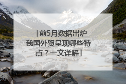 前5月数据出炉 我国外贸呈现哪些特点？一文详解
