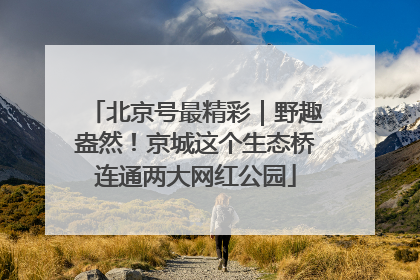 北京号最精彩｜野趣盎然！京城这个生态桥连通两大网红公园