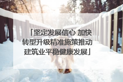 坚定发展信心 加快转型升级精准施策推动建筑业平稳健康发展