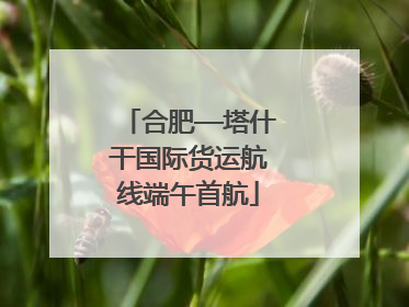 合肥—塔什干国际货运航线端午首航