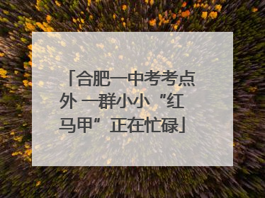 合肥一中考考点外 一群小小“红马甲”正在忙碌