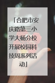 合肥市安庆路第三小学大杨分校开展校园科技周系列活动