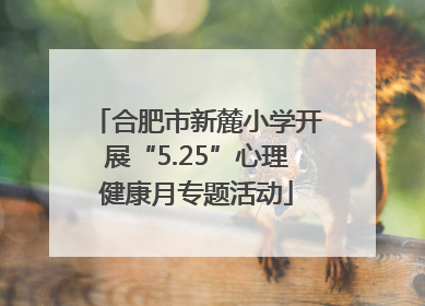 合肥市新麓小学开展“5.25”心理健康月专题活动