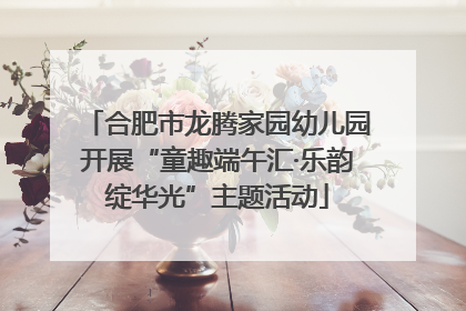 合肥市龙腾家园幼儿园开展“童趣端午汇·乐韵绽华光”主题活动
