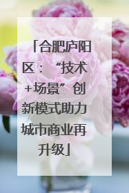 合肥庐阳区：“技术+场景”创新模式助力城市商业再升级