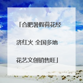 合肥暑假荷花经济红火 全国多地花艺文创销售旺