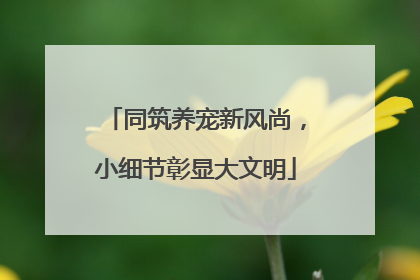 同筑养宠新风尚，小细节彰显大文明
