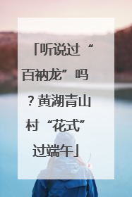听说过“百衲龙”吗？黄湖青山村“花式”过端午