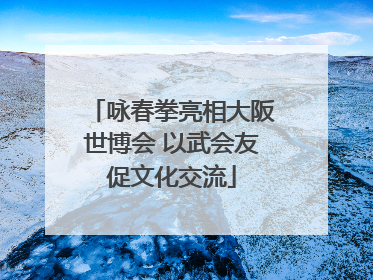 咏春拳亮相大阪世博会 以武会友促文化交流