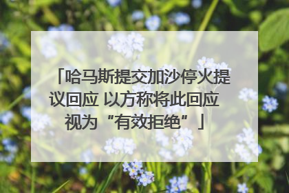 哈马斯提交加沙停火提议回应 以方称将此回应视为“有效拒绝”