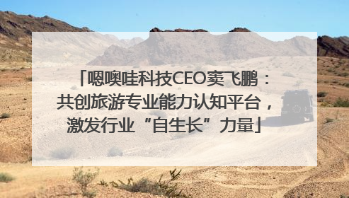 嗯噢哇科技CEO窦飞鹏：共创旅游专业能力认知平台，激发行业“自生长”力量