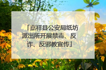 嘉祥县公安局纸坊派出所开展禁毒、反诈、反邪教宣传