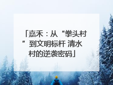 嘉禾：从“拳头村”到文明标杆 清水村的逆袭密码