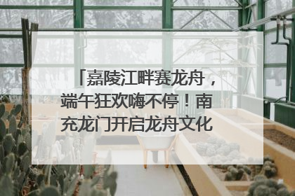 嘉陵江畔赛龙舟，端午狂欢嗨不停！南充龙门开启龙舟文化盛宴｜镜观四川