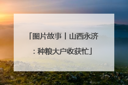 图片故事丨山西永济：种粮大户收获忙