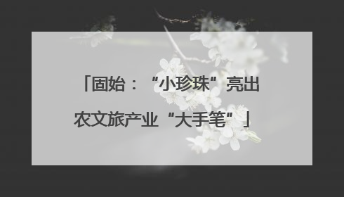 固始：“小珍珠”亮出农文旅产业“大手笔”