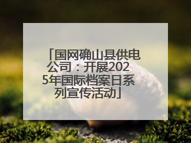 国网确山县供电公司：开展2025年国际档案日系列宣传活动