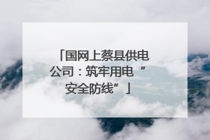 国网上蔡县供电公司：筑牢用电“安全防线”