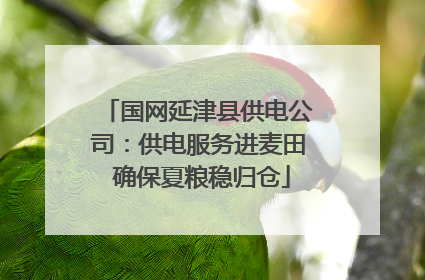 国网延津县供电公司：供电服务进麦田 确保夏粮稳归仓