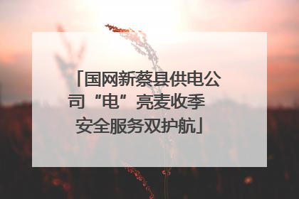 国网新蔡县供电公司“电”亮麦收季 安全服务双护航