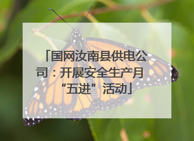 国网汝南县供电公司：开展安全生产月“五进”活动