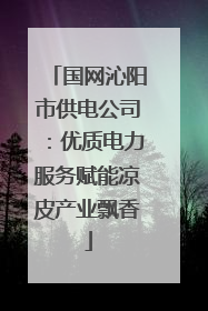 国网沁阳市供电公司：优质电力服务赋能凉皮产业飘香
