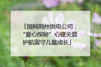 国网荆州供电公司：“童心探秘”心理关爱护航留守儿童成长