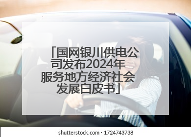 国网银川供电公司发布2024年服务地方经济社会发展白皮书