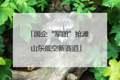 国企“军团”抢滩山东低空新赛道