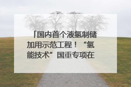国内首个液氢制储加用示范工程！“氢能技术”国重专项在四川南充启动｜打赢经济发展翻身仗