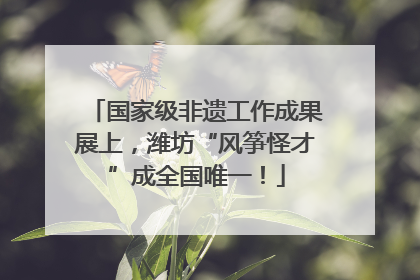 国家级非遗工作成果展上，潍坊“风筝怪才”成全国唯一！