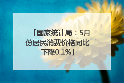 国家统计局：5月份居民消费价格同比下降0.1%