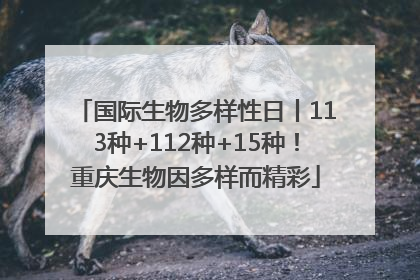 国际生物多样性日丨113种+112种+15种！重庆生物因多样而精彩