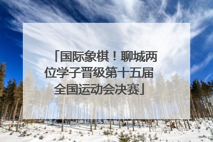 国际象棋！聊城两位学子晋级第十五届全国运动会决赛