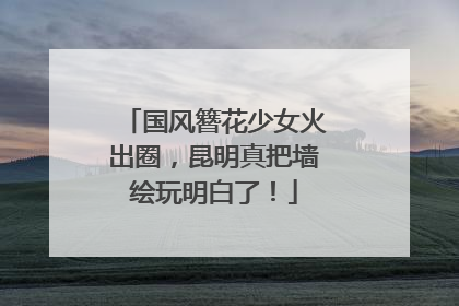 国风簪花少女火出圈，昆明真把墙绘玩明白了！