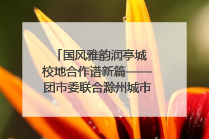 国风雅韵润亭城 校地合作谱新篇——团市委联合滁州城市职业学院助力传统文化“破圈”绽放