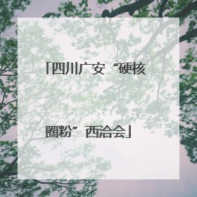四川广安“硬核圈粉”西洽会