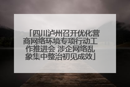 四川泸州召开优化营商网络环境专项行动工作推进会 涉企网络乱象集中整治初见成效