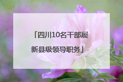 四川10名干部履新县级领导职务