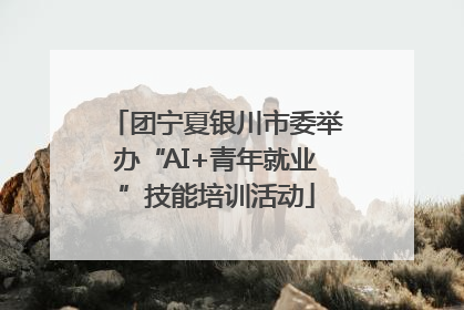 团宁夏银川市委举办“AI+青年就业”技能培训活动