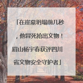 在崖墓坍塌前几秒，他冒死抢出文物！眉山杨宇春获评四川省文物安全守护者