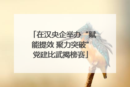 在汉央企举办“赋能提效 聚力突破”党建比武揭榜赛