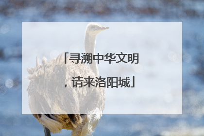 寻溯中华文明，请来洛阳城